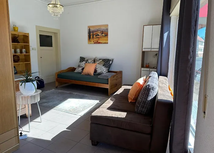 Alte Metzgerei Moemlingen Apartman *